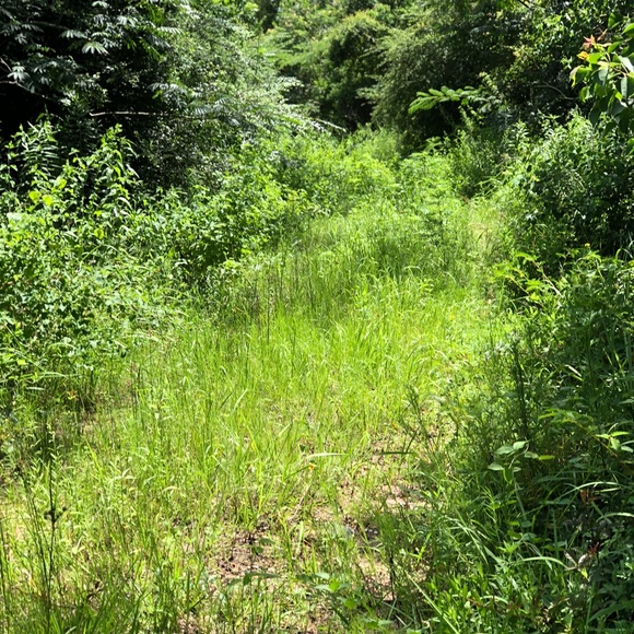 Meet your Posher, Anna - Picture 1 of 1